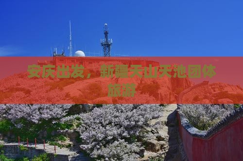 安庆到新疆天山天池团体旅游