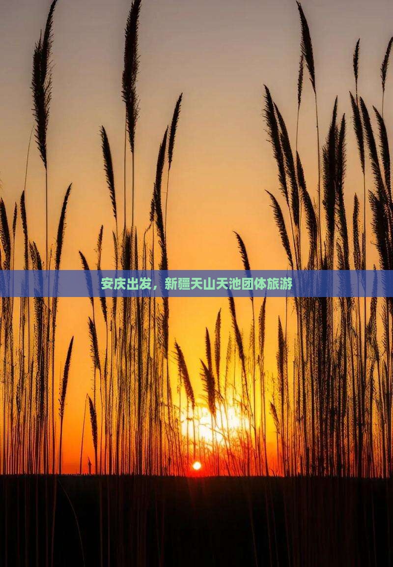 安庆到新疆天山天池团体旅游