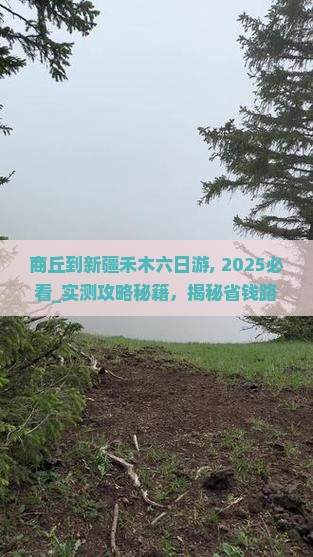 商丘到新疆禾木六日游