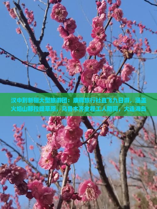 汉中到新疆大型旅游团