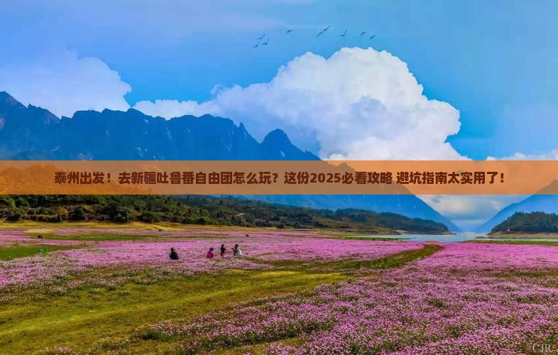 泰州到新疆吐鲁番自由团
