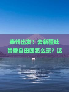 泰州到新疆吐鲁番自由团