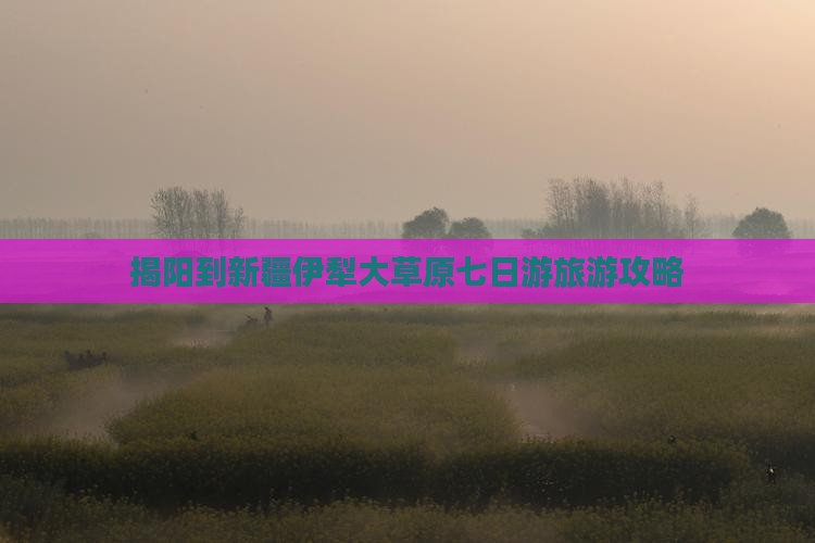 揭阳到新疆伊犁大草原七日游