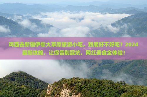 鸡西去新疆伊犁大草原旅游小吃