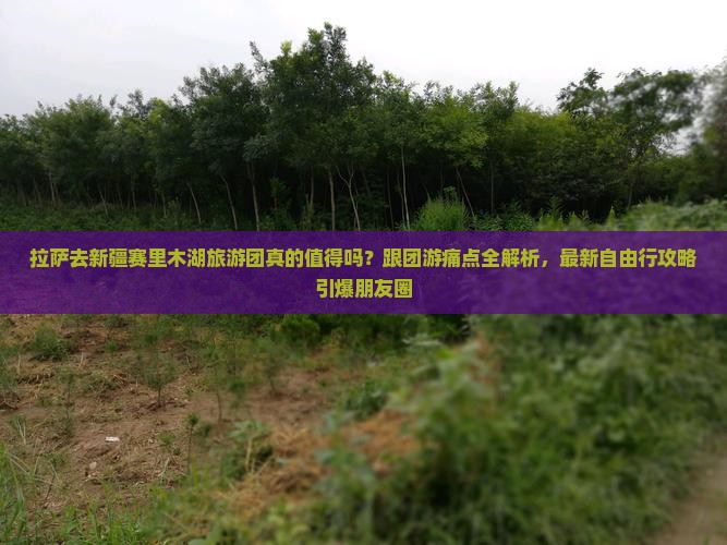 拉萨去新疆赛里木湖大型旅游团