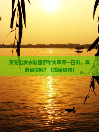 莱芜去新疆伊犁大草原一日 莱芜去新疆伊犁大草原一日