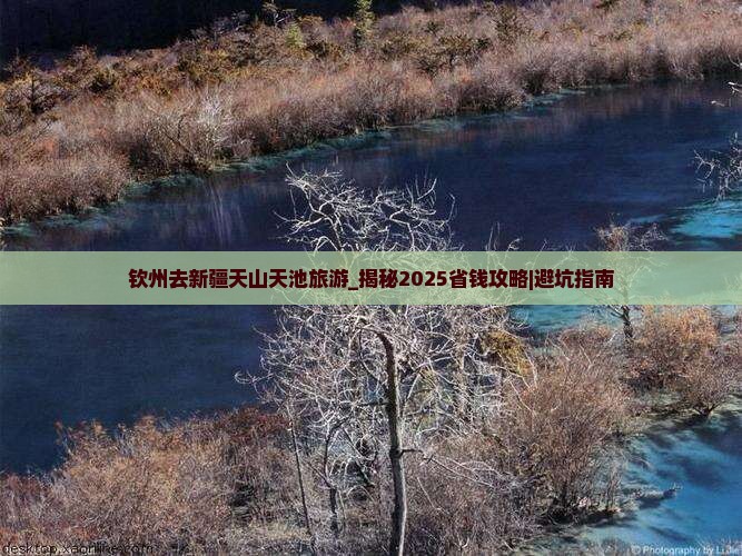 钦州去新疆天山天池旅游
