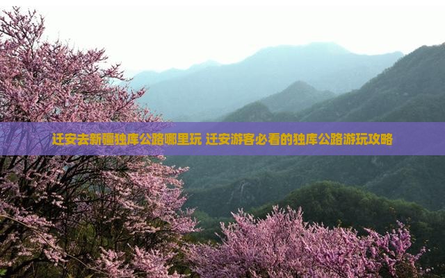 迁安去新疆独库公路哪里玩