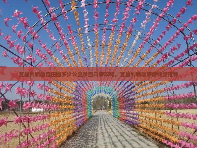 宜昌到新疆自由团