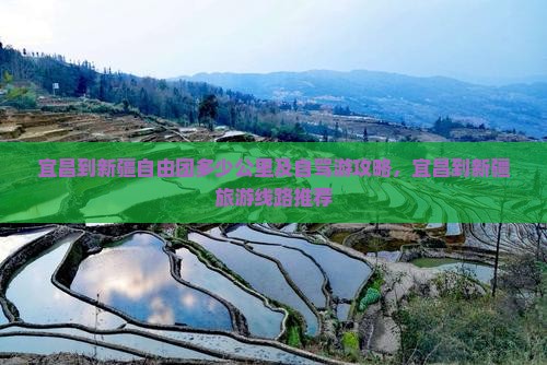 宜昌到新疆自由团