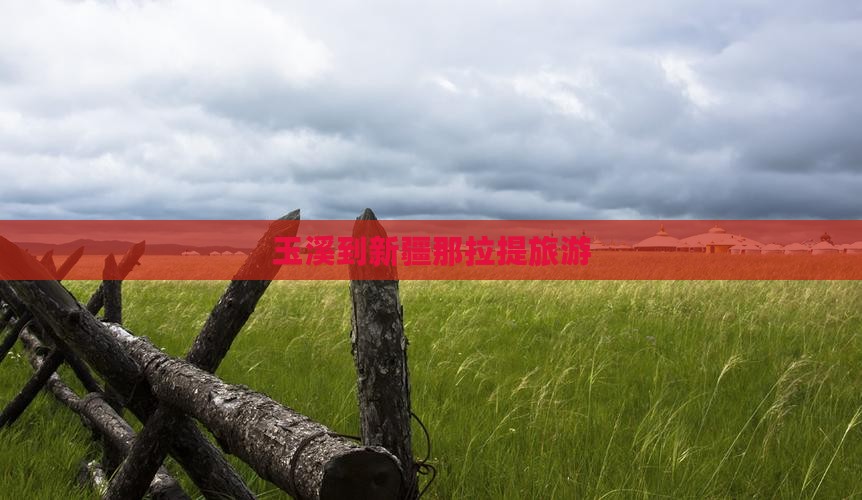 玉溪到新疆那拉提旅游