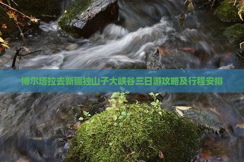 博尔塔拉去新疆独山子大峡谷三日游