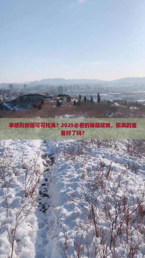 孝感到新疆可可托海攻略