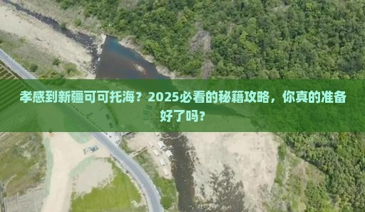 孝感到新疆可可托海攻略