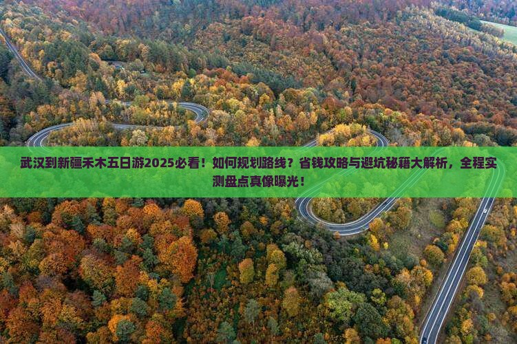 武汉到新疆禾木五日游