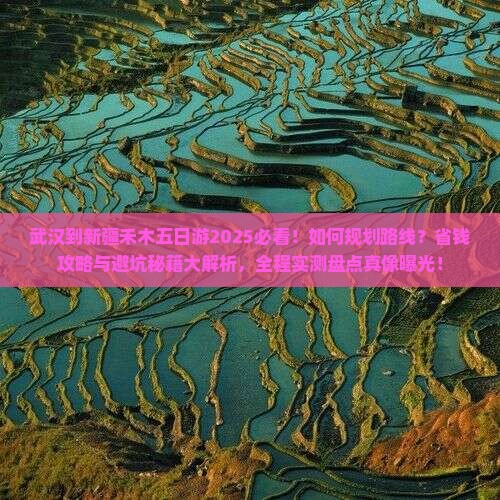 武汉到新疆禾木五日游