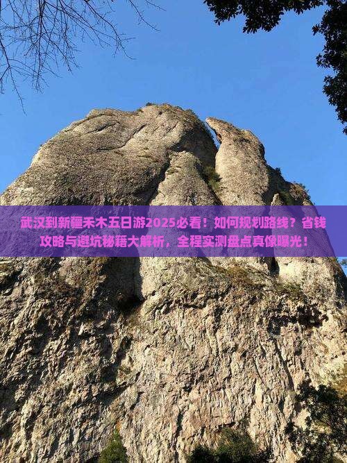 武汉到新疆禾木五日游