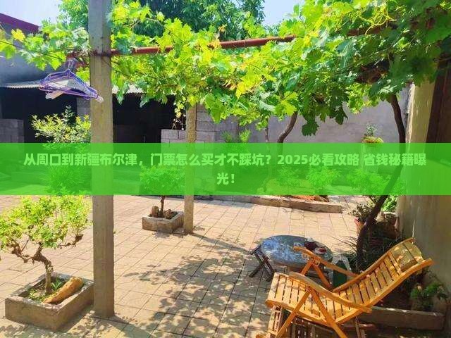 周口去新疆布尔津门票