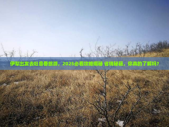 伊犁去新疆吐鲁番旅游