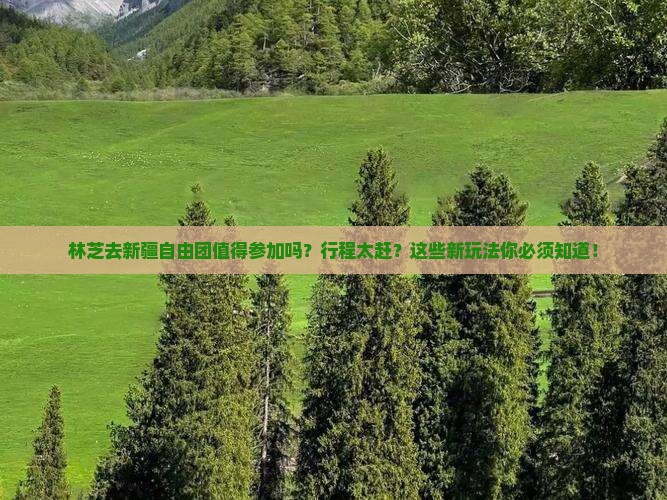 林芝去新疆自由团