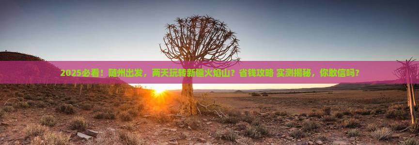 随州到新疆火焰山二日游