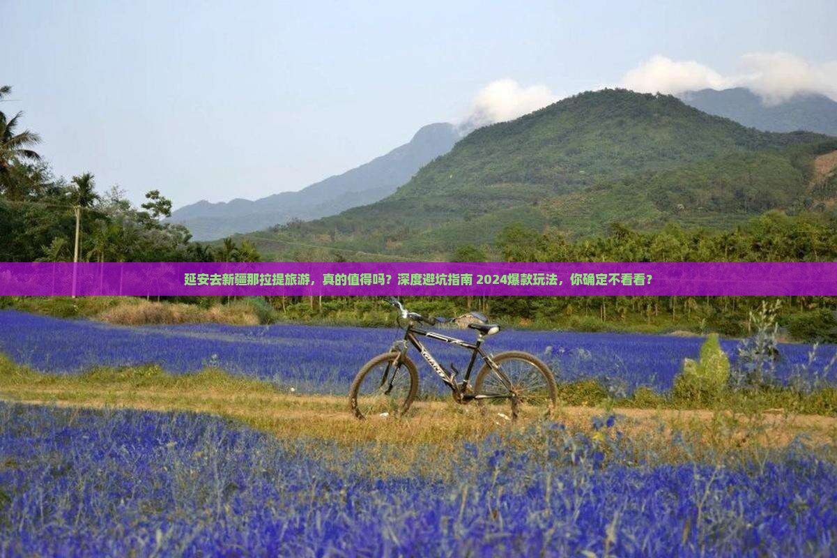 延安去新疆那拉提旅游