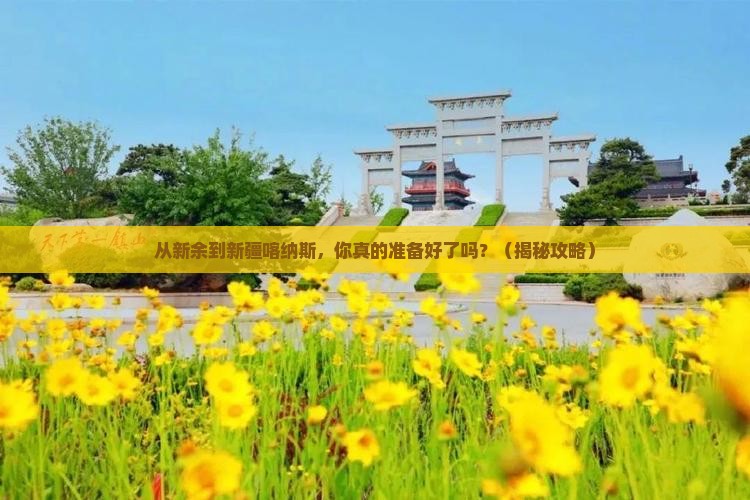 新余去新疆喀纳斯景点