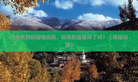 新余去新疆喀纳斯景点