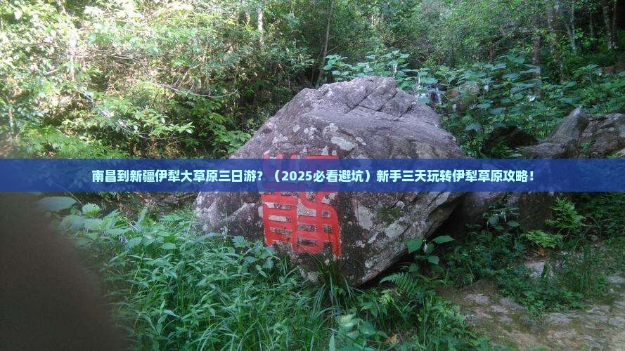 南昌到新疆伊犁大草原三日游
