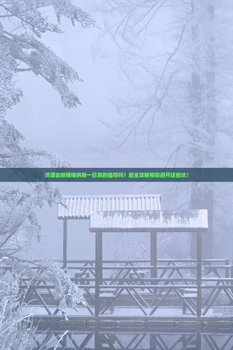 济源去新疆喀纳斯一日