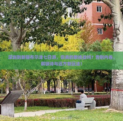 深圳到新疆布尔津七日游