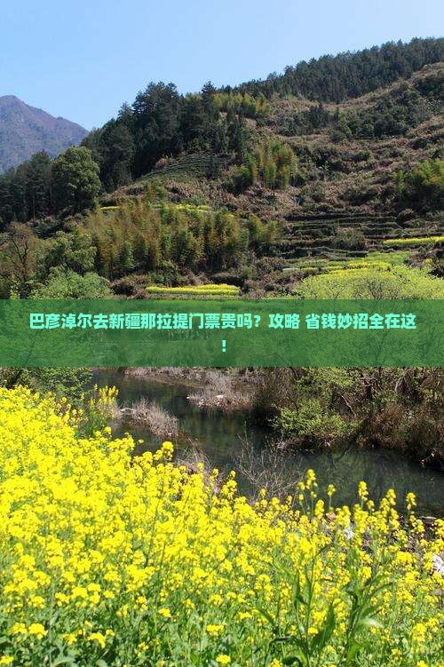 巴彦淖尔去新疆那拉提门票