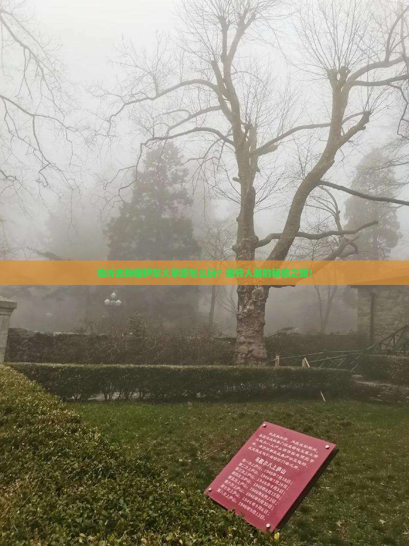 临沂去新疆伊犁大草原旅行社