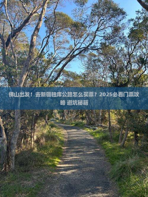 佛山去新疆独库公路门票