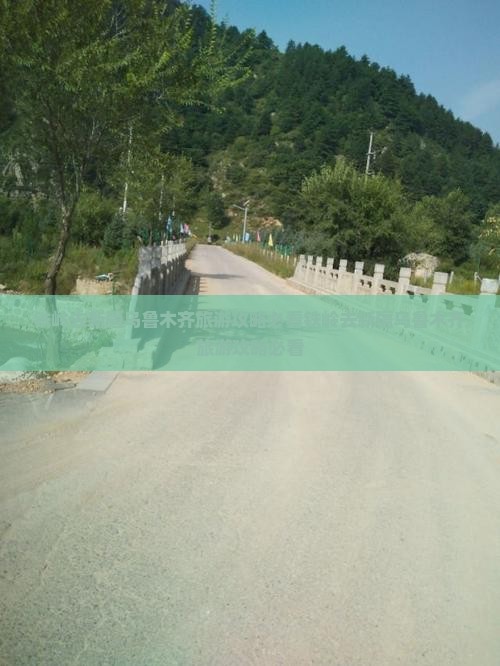 铁岭去新疆乌鲁木齐旅游