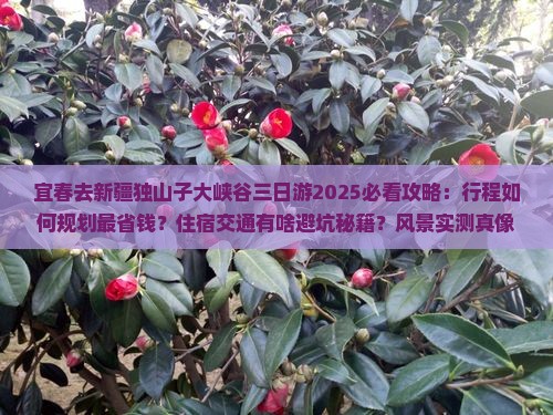 宜春去新疆独山子大峡谷三日游