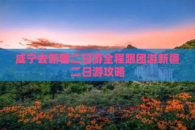 咸宁去新疆二日游