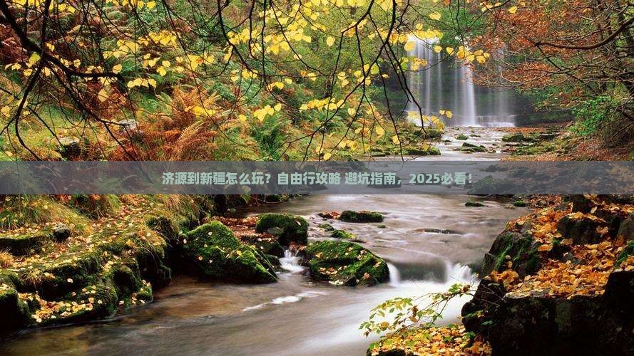 济源到新疆自由行