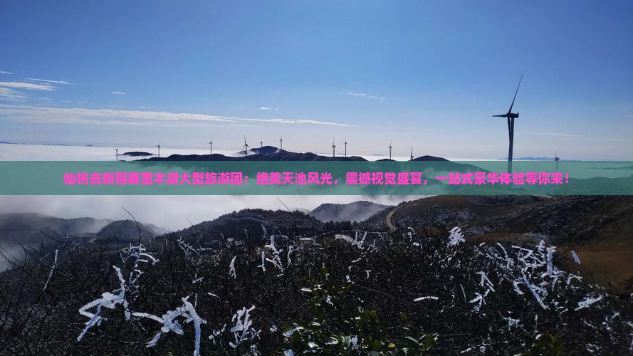 仙桃去新疆赛里木湖大型旅游团