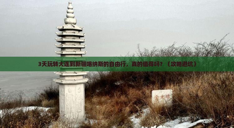 大连去新疆喀纳斯自由行