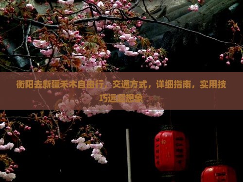 衡阳去新疆禾木自由行