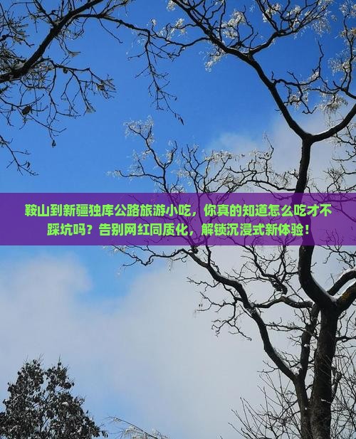 鞍山到新疆独库公路旅游小吃