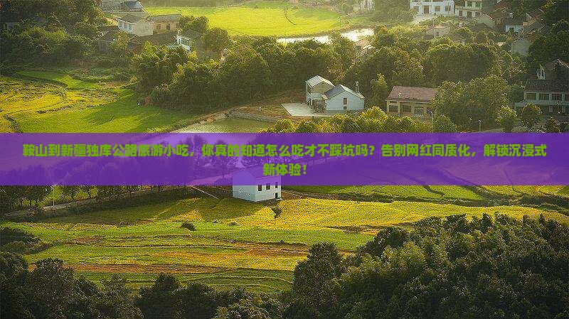 鞍山到新疆独库公路旅游小吃