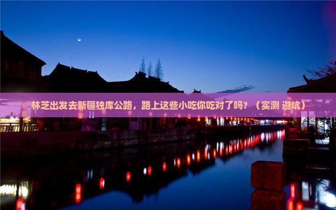 林芝去新疆独库公路旅游小吃