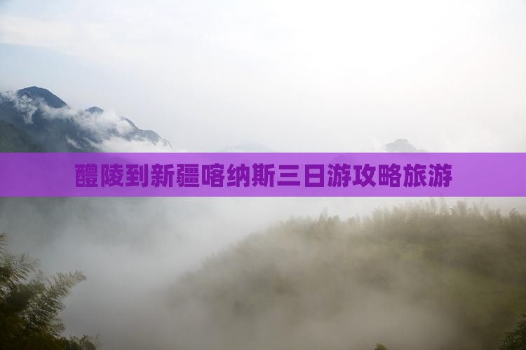 醴陵到新疆喀纳斯三日游