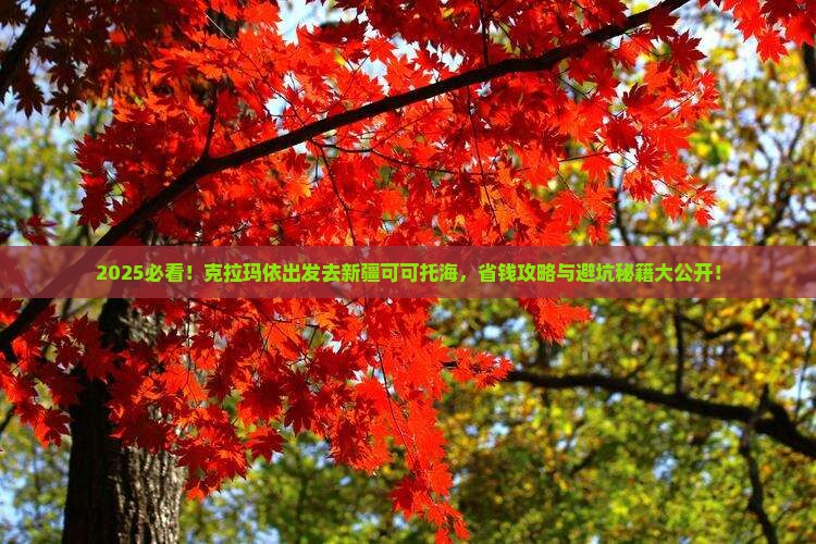 克拉玛依到新疆可可托海旅游
