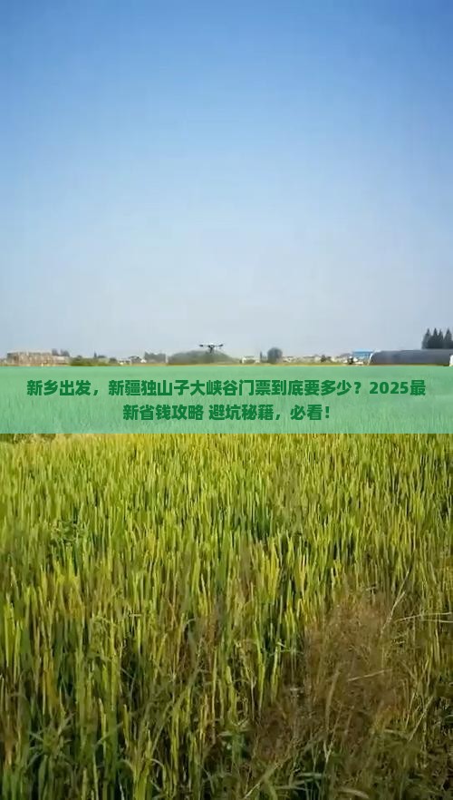 新乡到新疆独山子大峡谷门票
