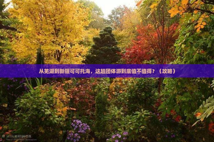 芜湖到新疆可可托海团体旅游