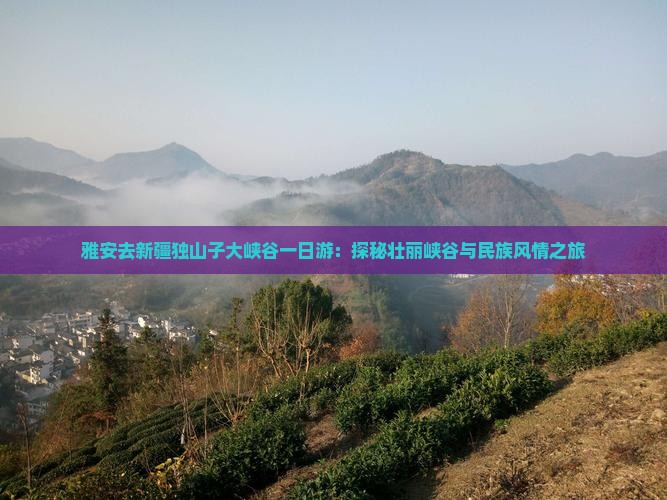 雅安去新疆独山子大峡谷一日游：探秘壮丽峡谷与民族风情之旅