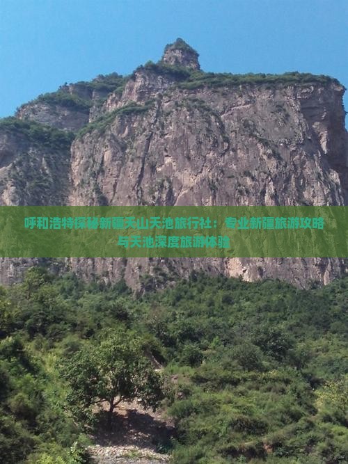 呼和浩特探秘新疆天山天池旅行社：专业新疆旅游攻略与天池深度旅游体验